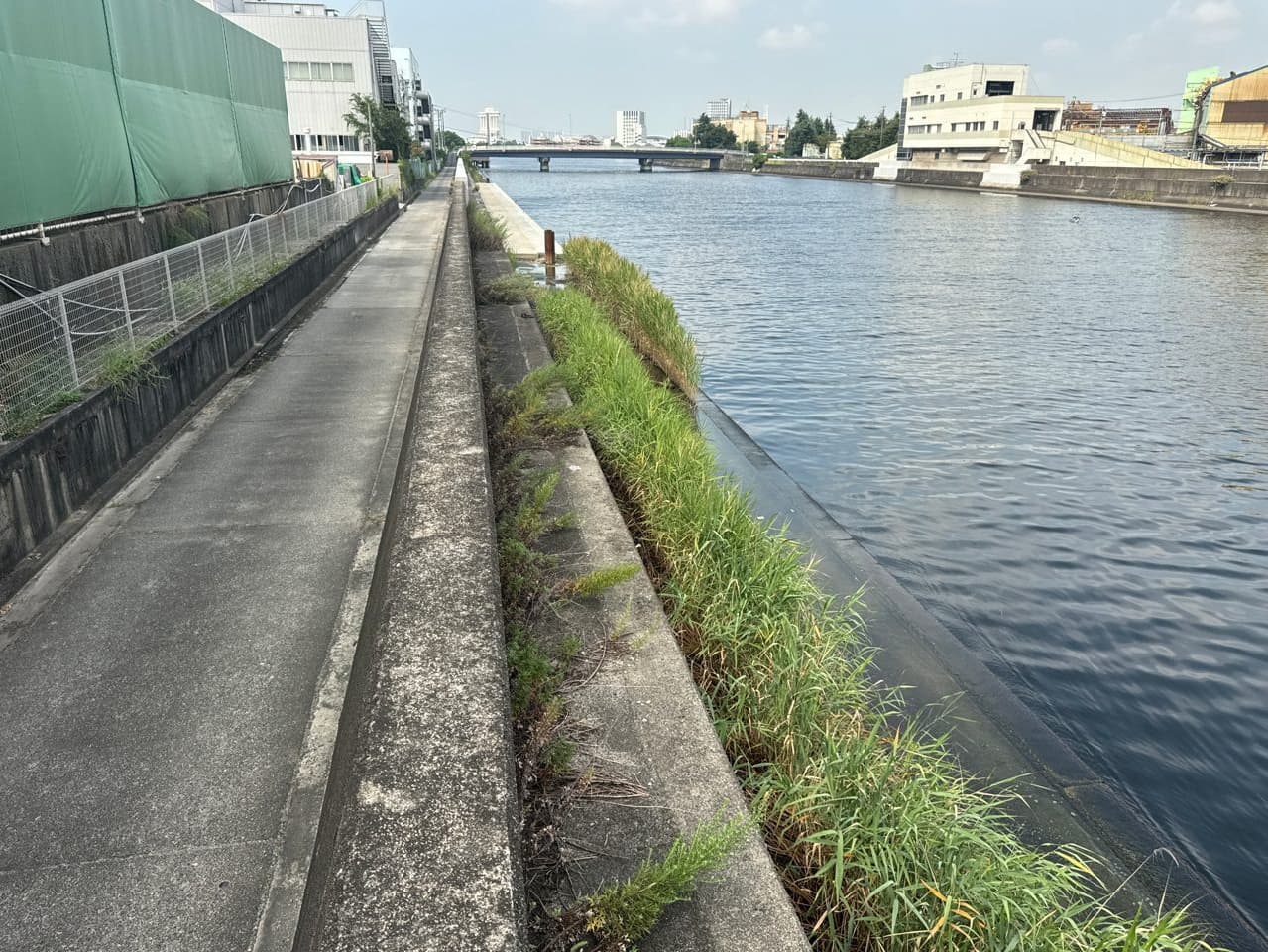 2022年4月　現場状況報告