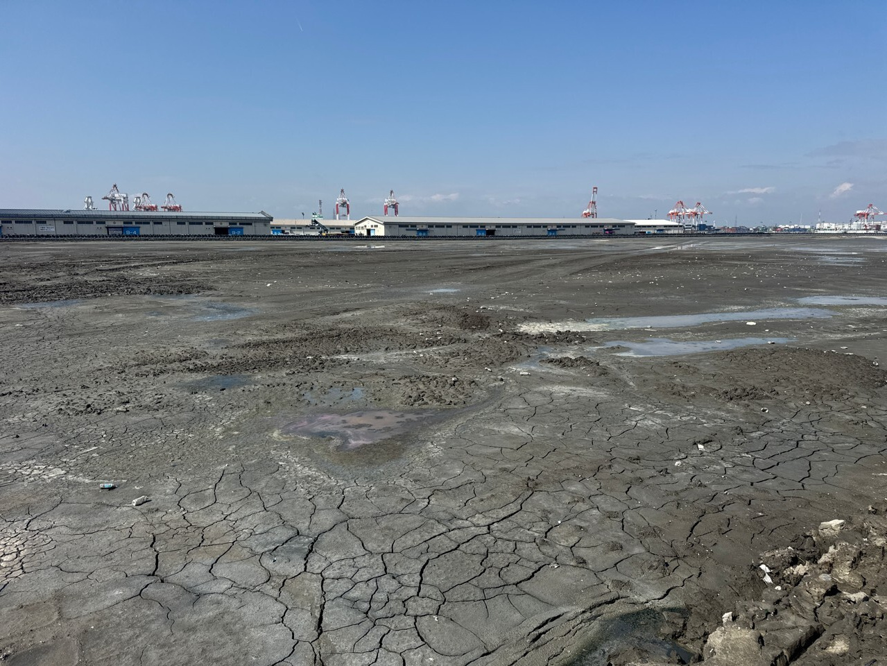 2022年4月　現場状況報告